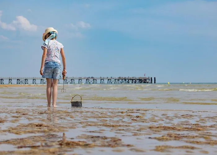 דירה Pour 4 Pers. Proche Commerces Et Plage, Ideal Teletravail - Fr-1-323-596 *