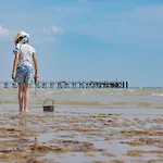 Apartment Pour 4 Pers. Proche Commerces Et Plage, Ideal Teletravail - Fr-1-323-596 *