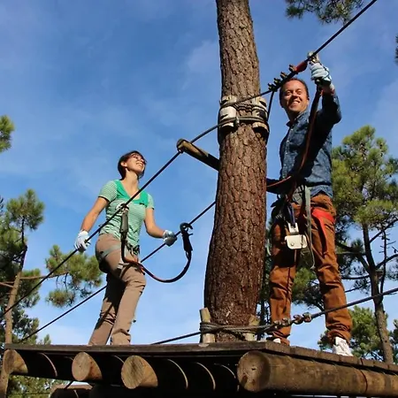 Pour 4 Pers. Proche Commerces Et Plage, Ideal Teletravail - Fr-1-323-596 アパート サン・ジャン·ド・モン