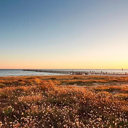 Pour 4 Pers. Proche Commerces Et Plage, Ideal Teletravail - Fr-1-323-596 * サン・ジャン·ド・モン