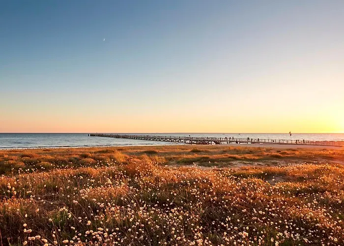 Pour 4 Pers. Proche Commerces Et Plage, Ideal Teletravail - Fr-1-323-596 * サン・ジャン·ド・モン